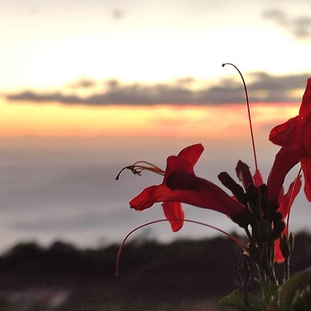 El Jardin De Las Pleyades ลอสยานอส เด อารีดาเน ภายนอก รูปภาพ